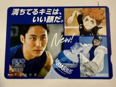 使用済み　アクエリアス クオカード　QUOカード　ハイキュー 日向翔陽 河村勇樹