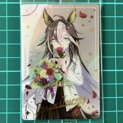 ドリームジャーニー　ウマ娘　ツインウエハース　Special R 2025