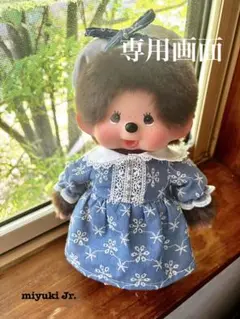 専用画面