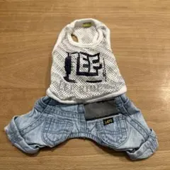 Item thumbnail for item 2f9f8270-863e-4350-8cf9-bc2cab8f688f