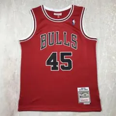 BULLS JORDAN 45 バスケットボールジャージ M