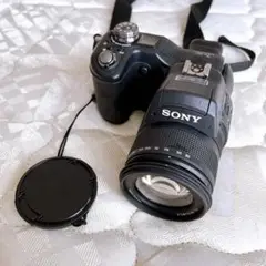 2025年最新】sony dsc-f828の人気アイテム - メルカリ