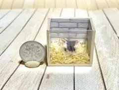 ドールハウス ミニチュア ハンドメイド ファーリークレイ シマリス
