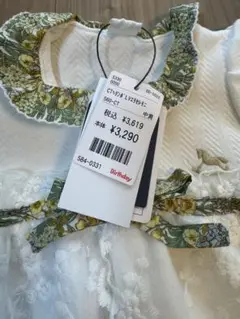 Item thumbnail for item d8ef118d-3306-41b4-b900-86bc6ddc3ddf