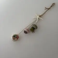 海の生物モチーフ スワッグ