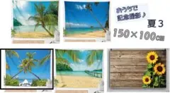 セール！夏③】うちフォト　壁　記念　人気　海　ベビー　背景布　サマー　写真　自宅