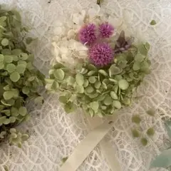 ナチュラルドライフラワー アナベル枝