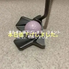 太めのグリップで最高です。ヘッドカバー付き