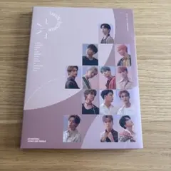 SEVENTEEN Falling Flower CARAT盤