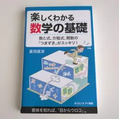 サイエンス・アイ新書　楽しくわかる数学の基礎