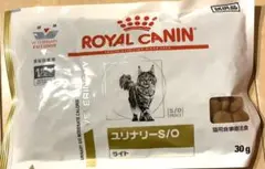 Item thumbnail for item d82f9334-eb06-4dd7-bfb4-0d5f1d3a671a