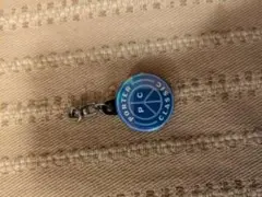 Item thumbnail for item 497b00ff-1589-4242-8e51-2a5a61b24c82