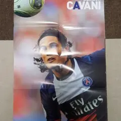PSA9 Select Soccer Cavani カバーニ 直筆サインカード PSA9 Select Soccer Cavani カバーニ 直筆サインカード