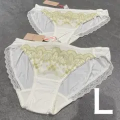 最終値下げ　アモスタイル　トリンプ　ショーツ　Ｌ　⑤