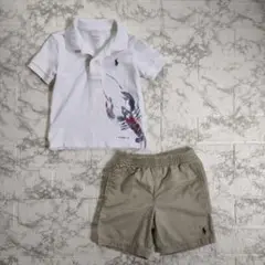 ポロ・80サイズ