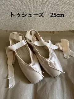 【Chocott】チャコット　プログレス　S101 25cm