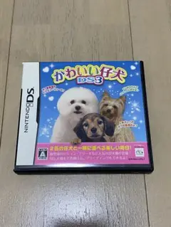 かわいい仔犬 DS3