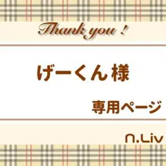 げーくん様専用:11月24日必着