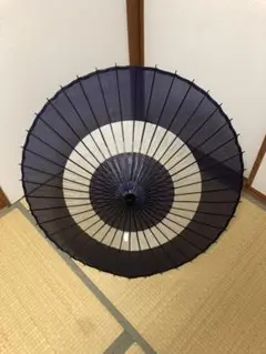 蛇の目傘 番傘 和傘 傘 助六 シースルー 舞踊 大衆演劇 着物 撮影
