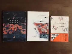 ☆江國香織/活発な暗闇/すみれの花の砂糖づけ