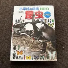 [新版]　小学館の図鑑NEO　昆虫　　夏
