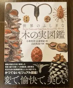 世界のふしぎな木の実図鑑