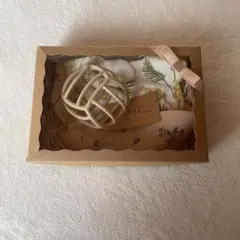 Item thumbnail for item 608fd89c-351e-4c57-b192-dff35a5a774d