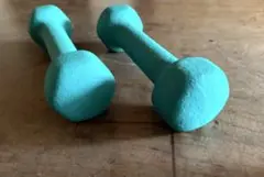 ダンベル 2個セット グリーン　1kg×2個
