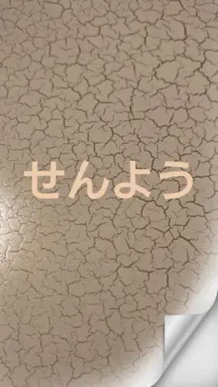 ❤️Phytosunaroms グレープフルーツ BIO 10ml❤️