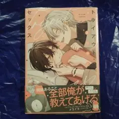 トライアウト・セックス