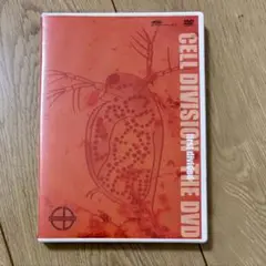 Grantz 2枚 ★新品未開封 マンウィズ Sakura」Grantz グランツ MAN WITH A MISSION｜Yahoo!フリマ（旧