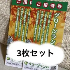 グリーンランド入場券チケット 3枚セット