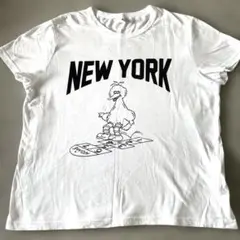 セサミストリートBIGBIRDレディースTシャツ フリーサイズ 【レトロ古着】