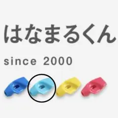 はなまるくん　鉛筆　矯正　右利き