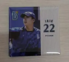 ☆横浜DeNAベイスターズ　入江大生選手　マグネット☆