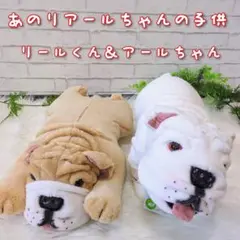 2025年最新】リールくん アールちゃんの人気アイテム - メルカリ