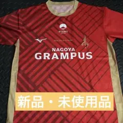 Item thumbnail for item b6ed1b21-a61a-4d80-b6ca-ca58d23b21cf