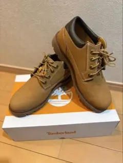 Item thumbnail for item 292fbf37-f2a6-4618-9471-f469ad165f3b