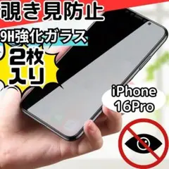 Item thumbnail for item 102beea6-cffc-4e81-84b0-6b2c514a9de7