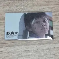SEVENTEEN ジュン 映画 野。良犬 特典カード