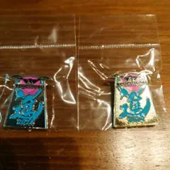サガン鳥栖　ピンバッジ