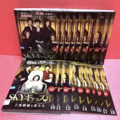 韓国ドラマ 「 SKYキャッスル 〜上流階級の妻たち~ 」DVD全18巻セット