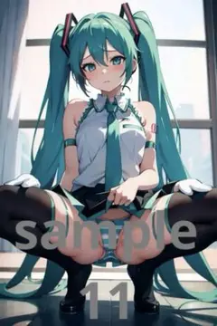 ブロマイドセットN2L版　初音ミク(11) 2次元　アニメイラスト