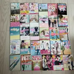 【30冊】　野いちご文庫