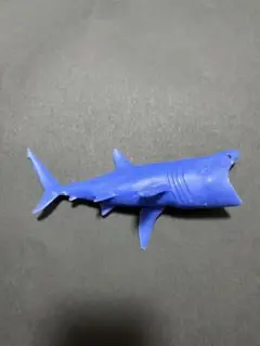 Whales & Co.シリーズ　くじら　アンドコ　ビッグ　ウバザメ