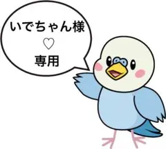 いでちゃん様♡専用