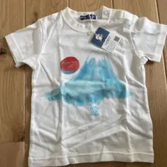 オーガニックコットン 富士山 Tシャツ