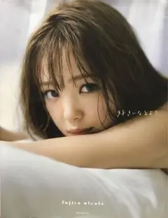 藤田ニコル写真集