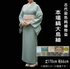 Item thumbnail for item d1b001c4-13d1-4523-bbcd-14753f1fdfec