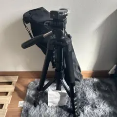 Item thumbnail for item 82a82124-0d46-4533-a64f-ce0e6d1030c5